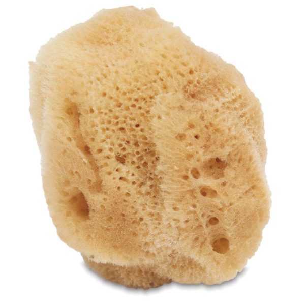 Sponges |   White Silk Sponge Cleaning Supplies & Materials Sponges